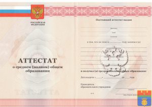 Аттестат 11 класс 2010-2013 год