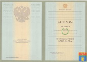 Диплом бакалавра 2004-2008 год